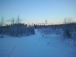 ”Tietä käyden tien on vanki. Vapaa on vain umpihanki.” Sanoi Aaro Hellaakoski. Mutta umpihanki tiellä on vähän helpompi hiihtää kuin metsässä